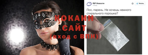 шишки Белоозёрский