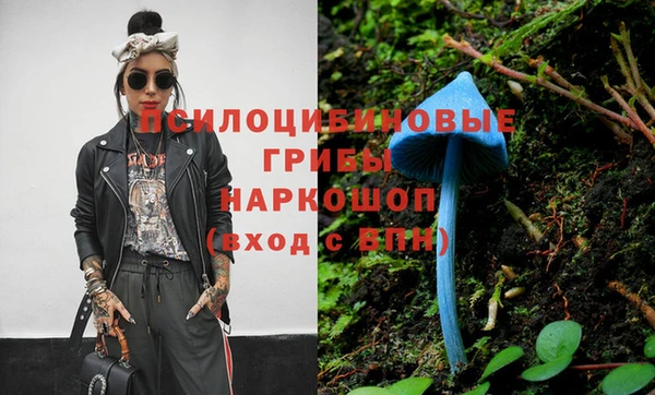 шишки Белоозёрский
