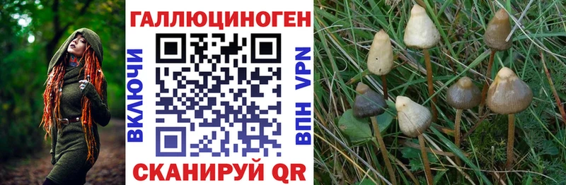 Купить где  Волоколамск  Галлюциногенные грибы ЛСД 